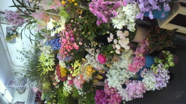 「フラワー橋口」　（長崎県佐世保市）の花屋店舗写真2