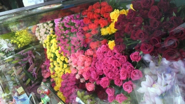 長崎県佐世保市の花屋 フラワー橋口にフラワーギフトはお任せください 当店は 安心と信頼の花キューピット加盟店です 花キューピットタウン